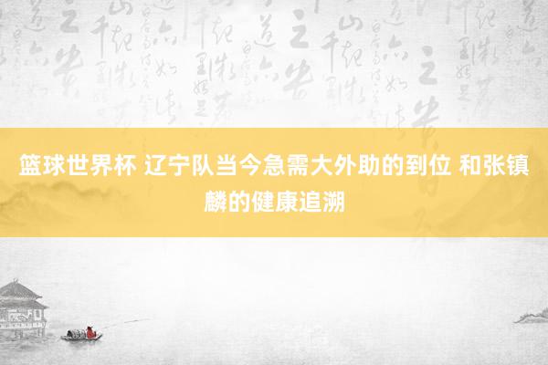 篮球世界杯 辽宁队当今急需大外助的到位 和张镇麟的健康追溯