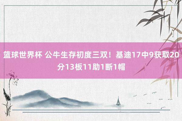 篮球世界杯 公牛生存初度三双！基迪17中9获取20分13板11助1断1帽